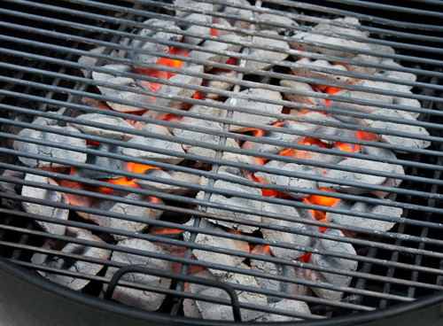 briquettes on weber grill